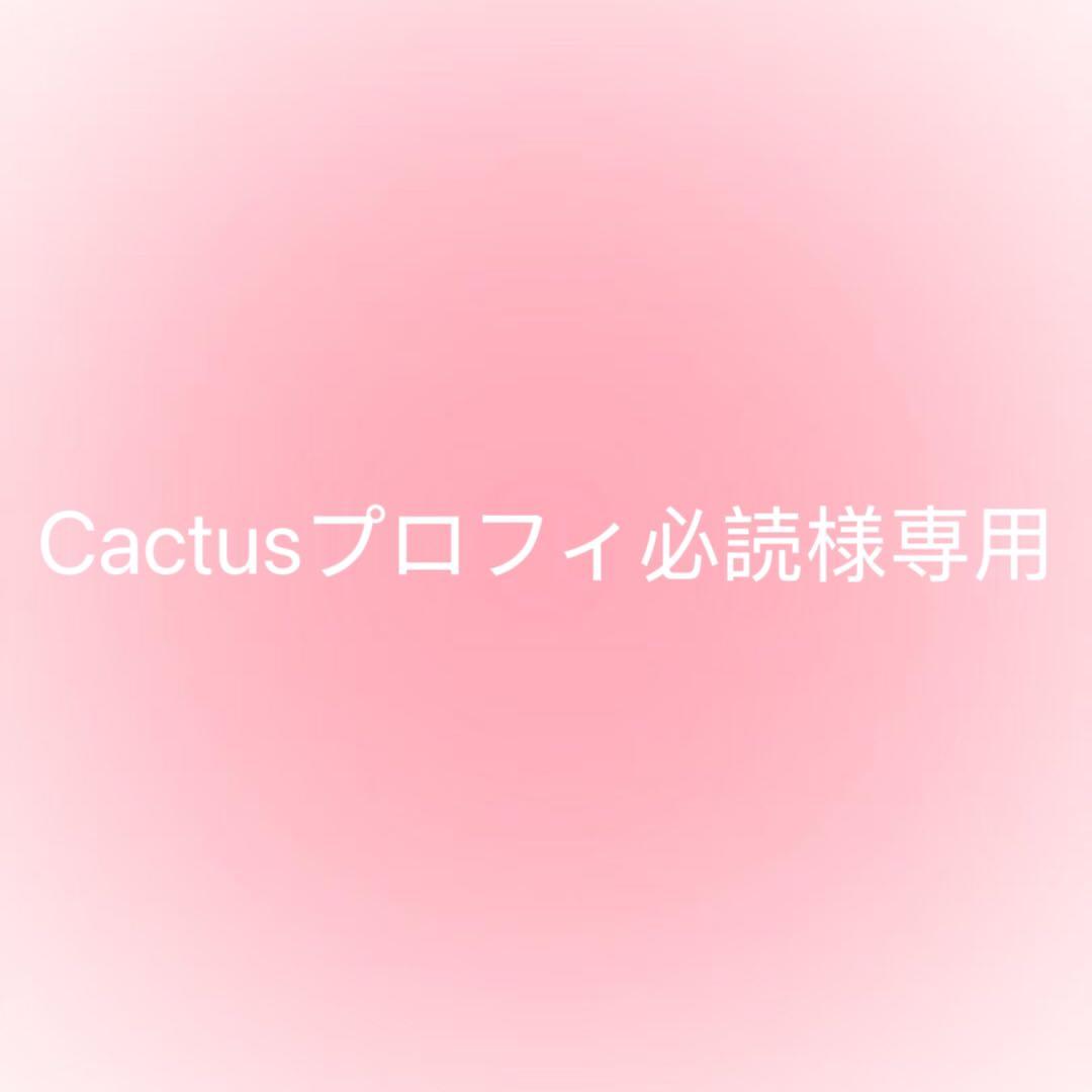 Cactusプロフィ必読