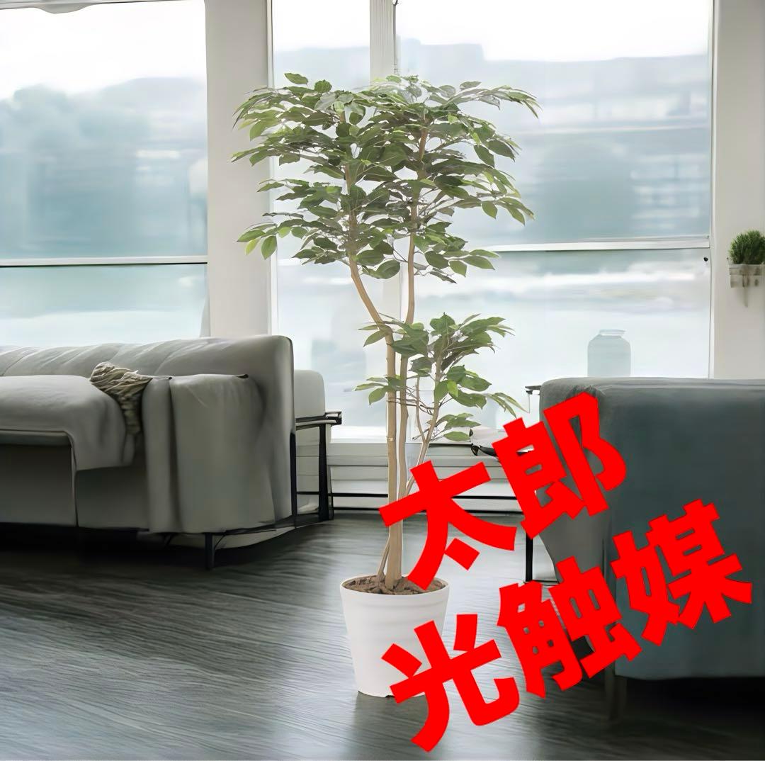 光触媒　人工観葉植物　フェイクグリーン　デザインベンジャミン1.6