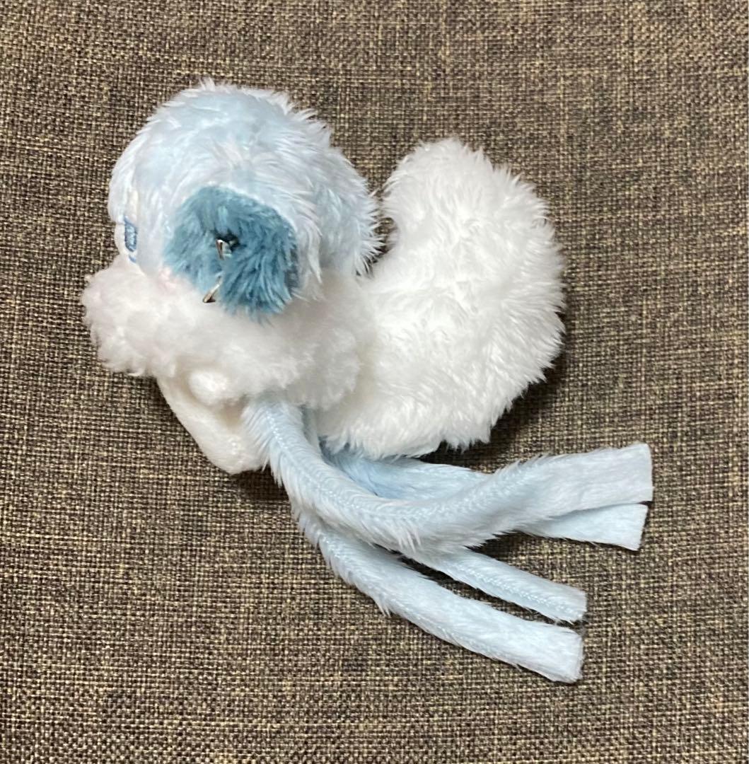 セミオーダー・わた