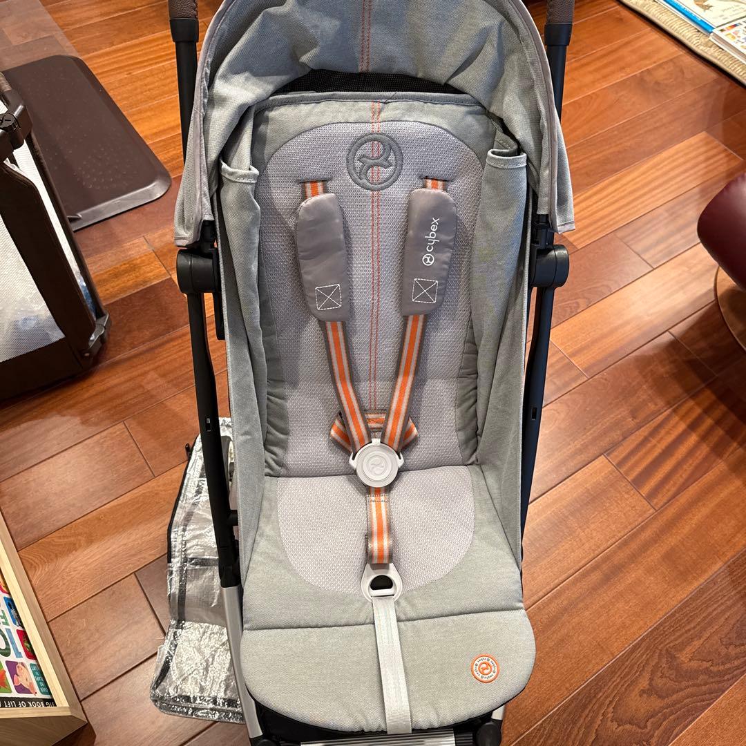 サイベックス　オルフェオ　2023/2024モデル　ラバグレー