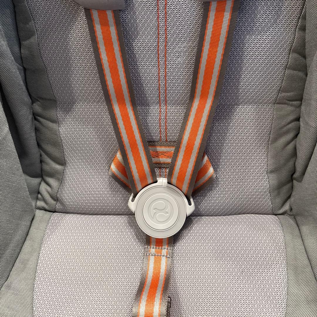 サイベックス　オルフェオ　2023/2024モデル　ラバグレー