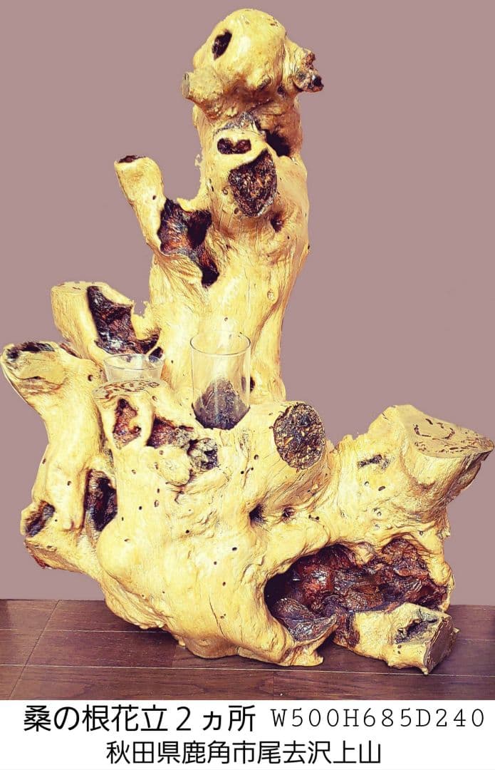銘木(桑の根)