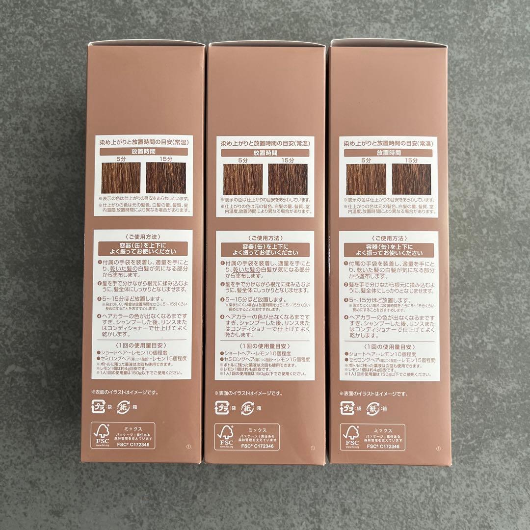【新品大容量】ヘアボーテエクラ ボタニカルエアカラーライトブラウン150g×3本