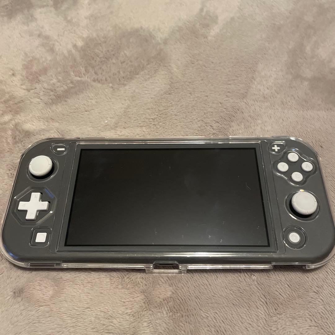 Nintendo Switch Lite クリアケースとケース付き