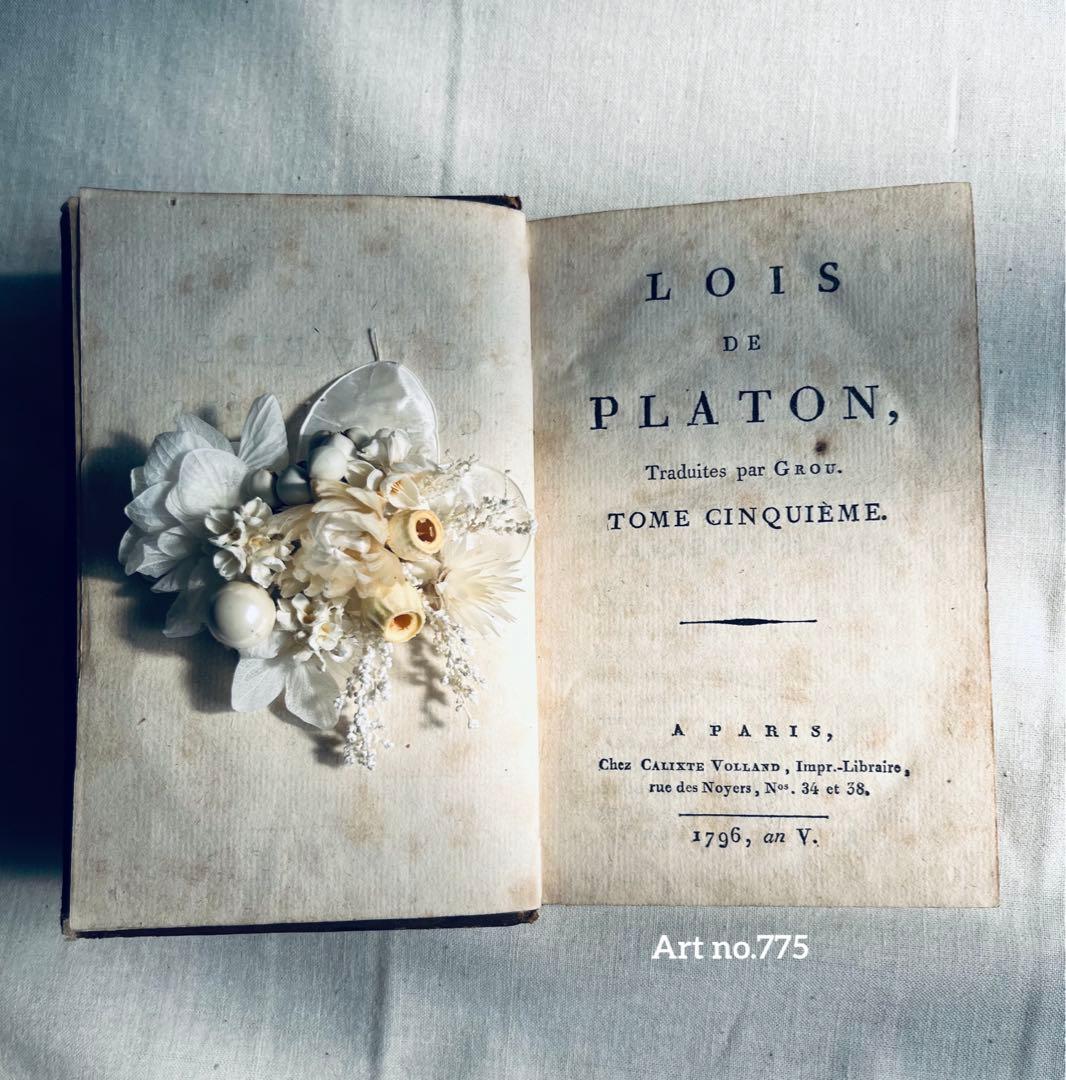 フラワー・ガーデニング corsage no.775