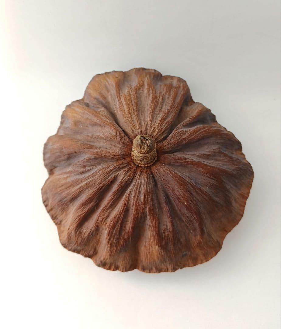 きょうMAMA　目玉付きたっぷりマチのショルダーポーチ&ストラップ