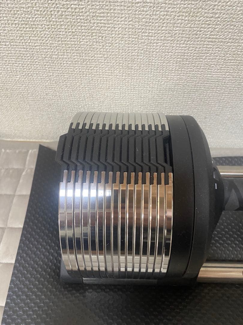 ライシン 可変式メタルダンベル 1kg刻み 3-32kg 2個セット