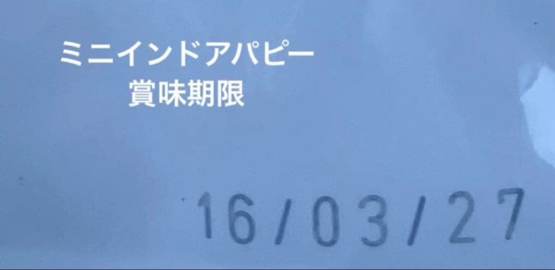  CANIN ミニ インドア パピー 10kg