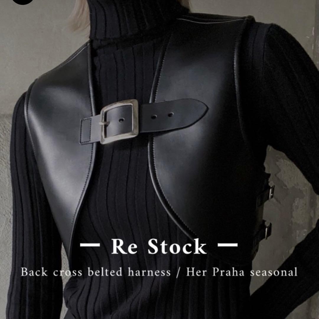 litmus / LUTENS Her Praha レザーハーネス black