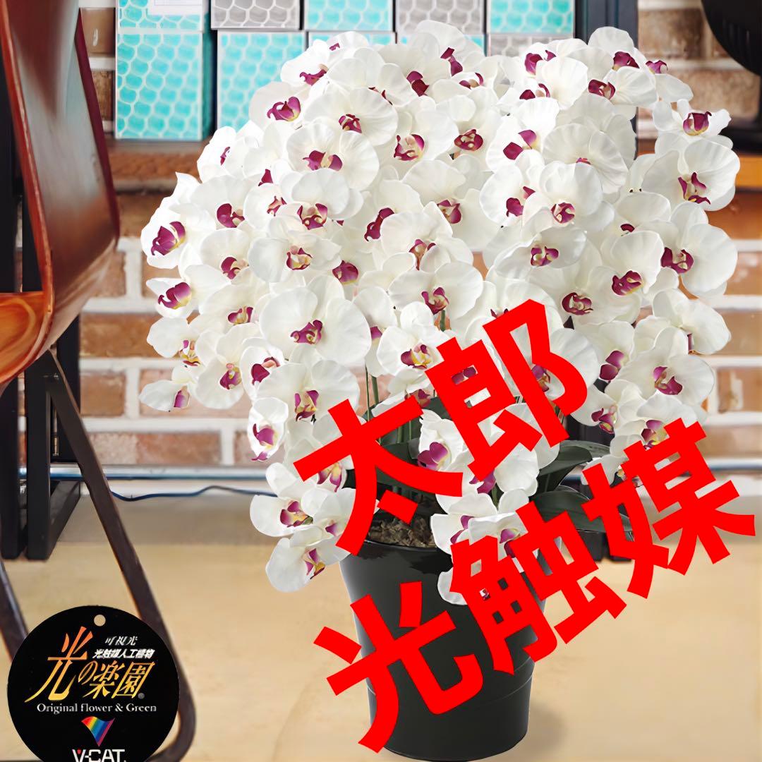 光触媒　人工観葉植物　フェイクグリーン　プレミアム胡蝶蘭7本立W/AB