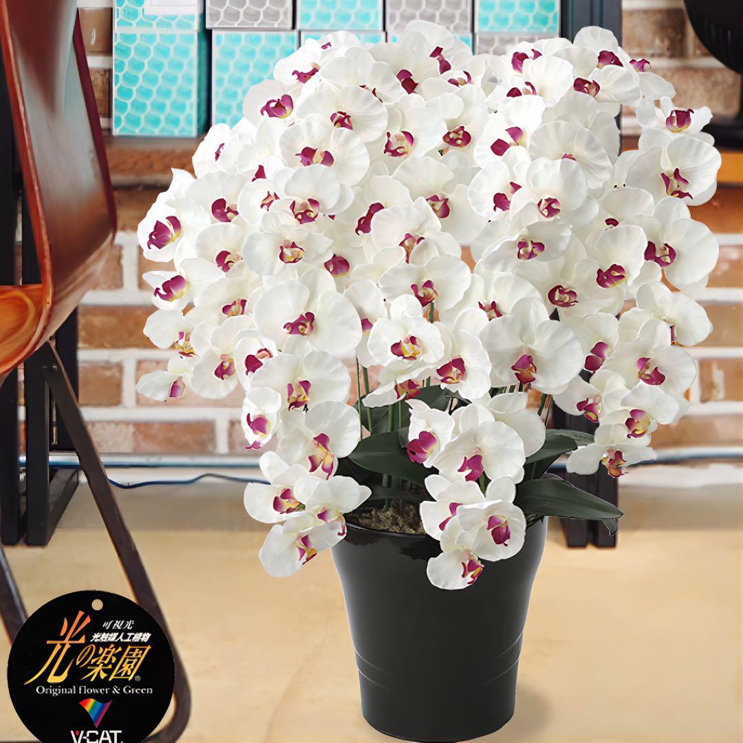 光触媒　人工観葉植物　フェイクグリーン　プレミアム胡蝶蘭7本立W/AB