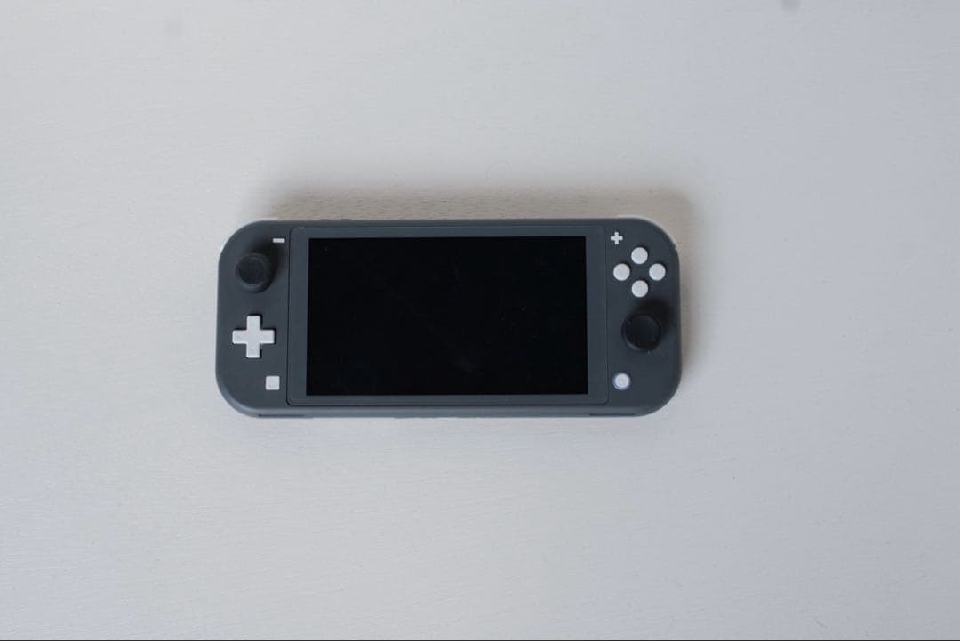 Nintendo Switch Lite グレー 本体　【美品】AC