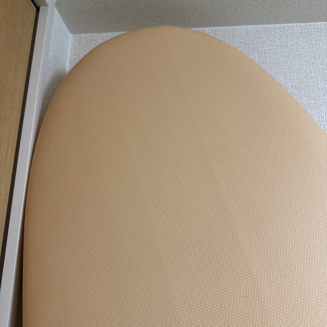 ビーチアクセス　beach access ロングソフトボード　8.0ft