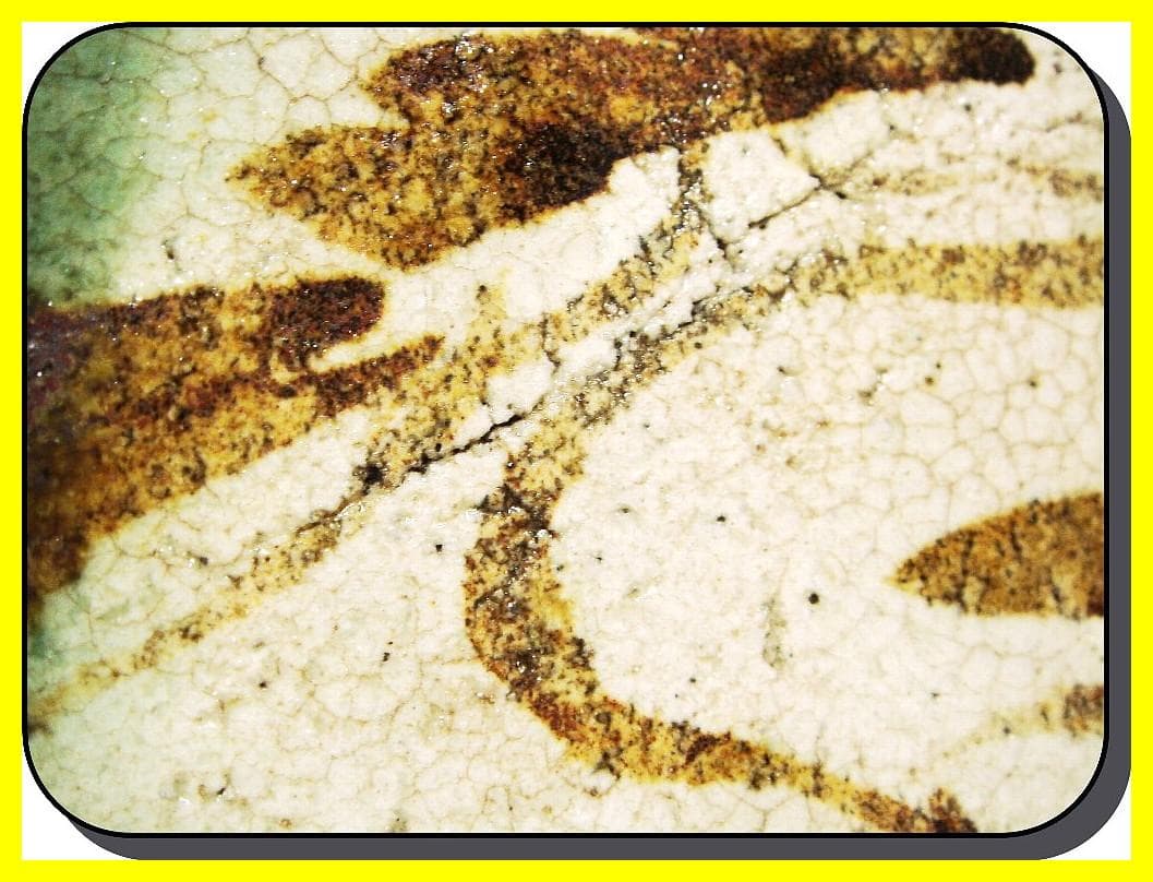 ma507⑦『織部 松 五角鉢』　/骨董品 古美術 古玩 アンティーク