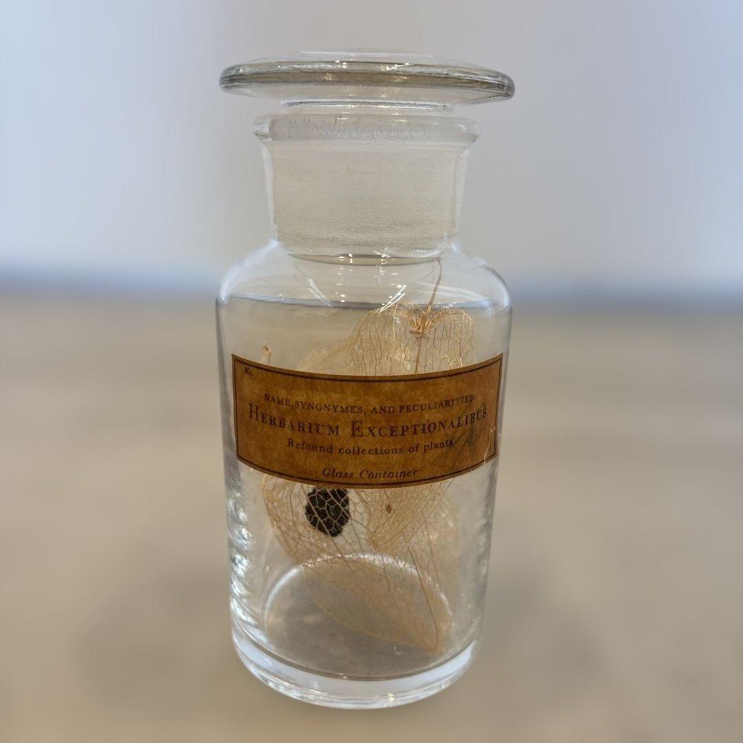 herbarium exceptionalibus ハーバリウム ②