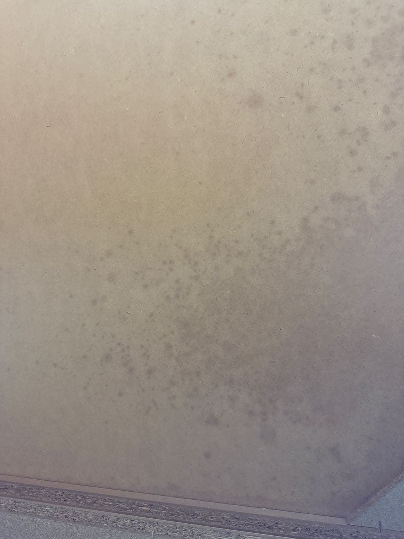 チェスト フルオープン レール式 カタログハウス 通販生活 タンス 箪笥