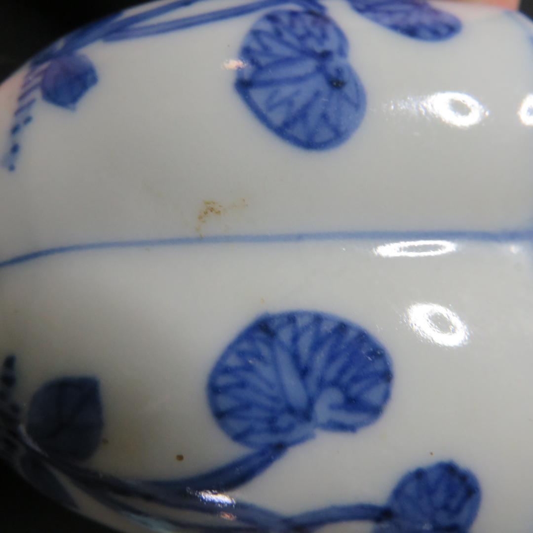 向付 変形 花形 希少 染付 古伊万里 5客 草文様 窯傷 江戸