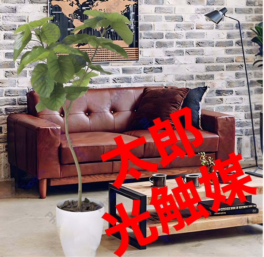 光触媒　人工観葉植物　ウォールグリーン　フェイクグリーン　ウンベラータ05