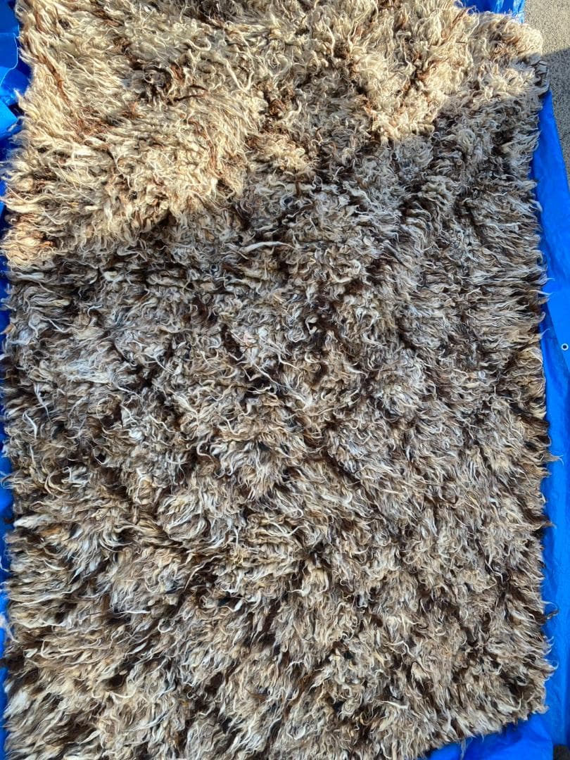 K◆BoConcept カーペット ラグ 絨毯 170×240cm