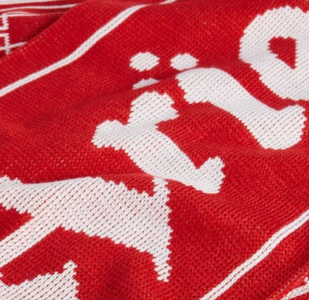 【新品】arsenal aries column logo scarf