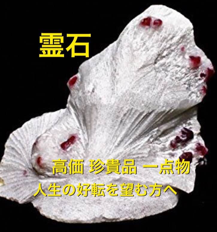 霊石 高価 珍貴品 一点物 素晴らしい人生を送りたいへ…一生の御守り霊石 #占い