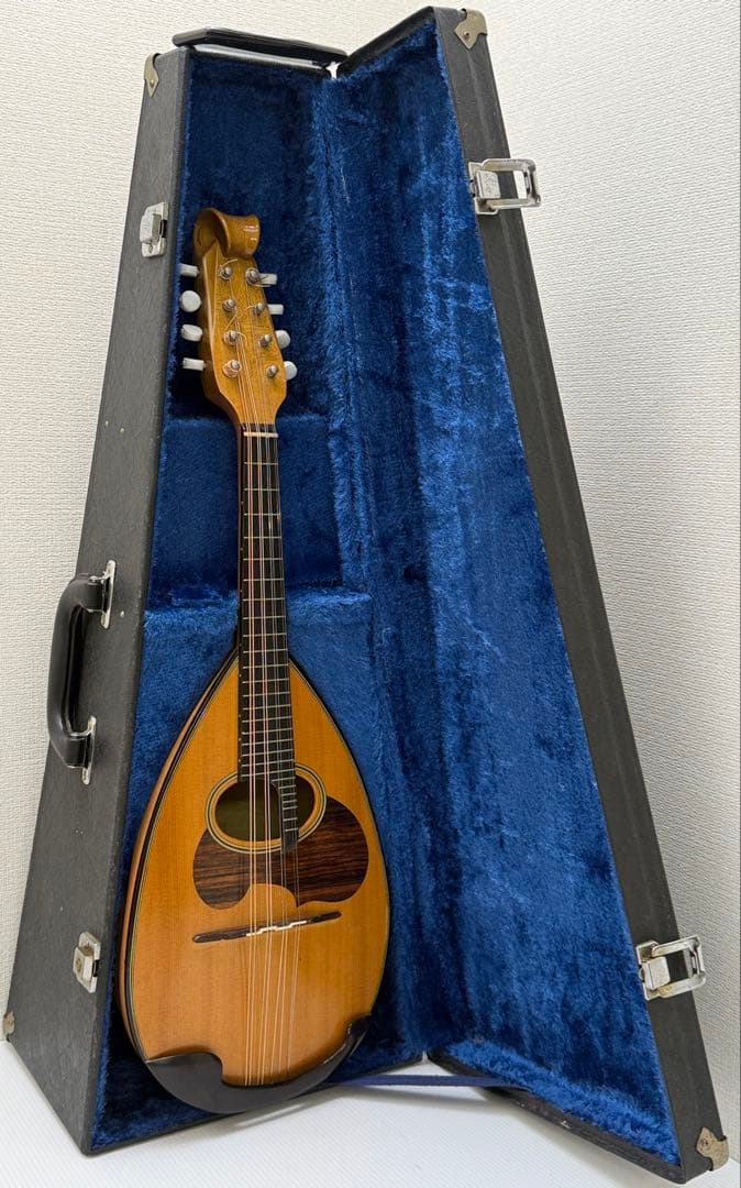 マンドリンSUZUKI M-100 ケースとセット