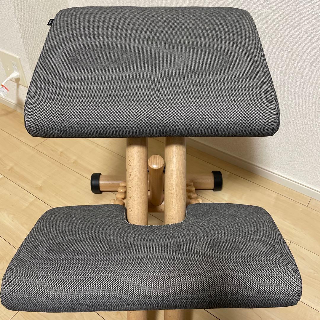 【正規品】VARIER バリエール　マルチ　バランスチェア　グレー