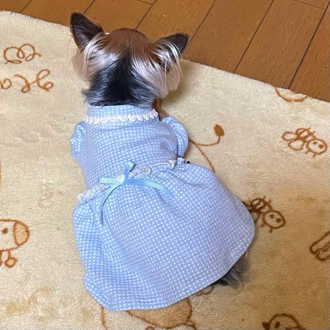 ハンドメイド犬服　パステルカラーのパフスリーブワンピ　色違い３色　接結ニット