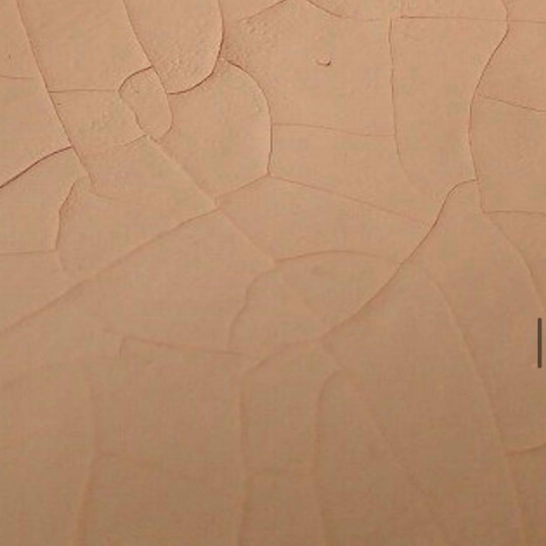 kimiko_t ビスクドー ジュモーフランシス リプロ シェルカメオ