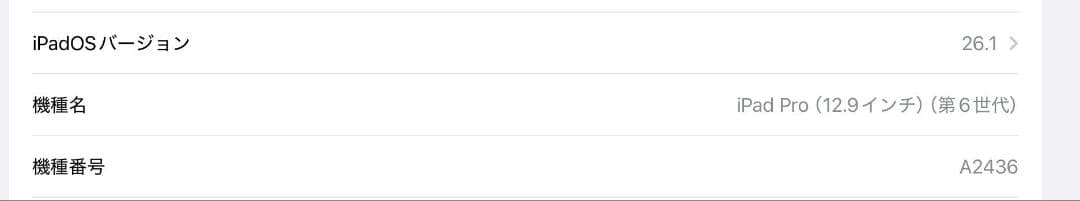 ipad pro 12.9　第六世代　WiFi 128GB