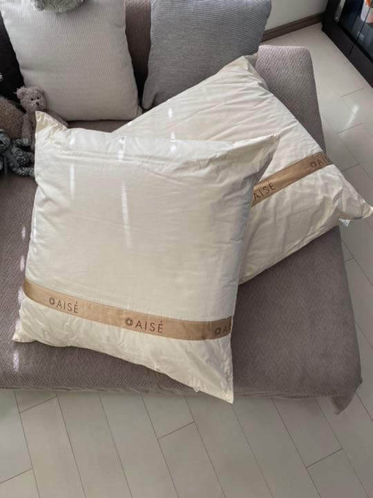 大判　ダウンピロー2個 + 専用ピロケース2枚　(768)