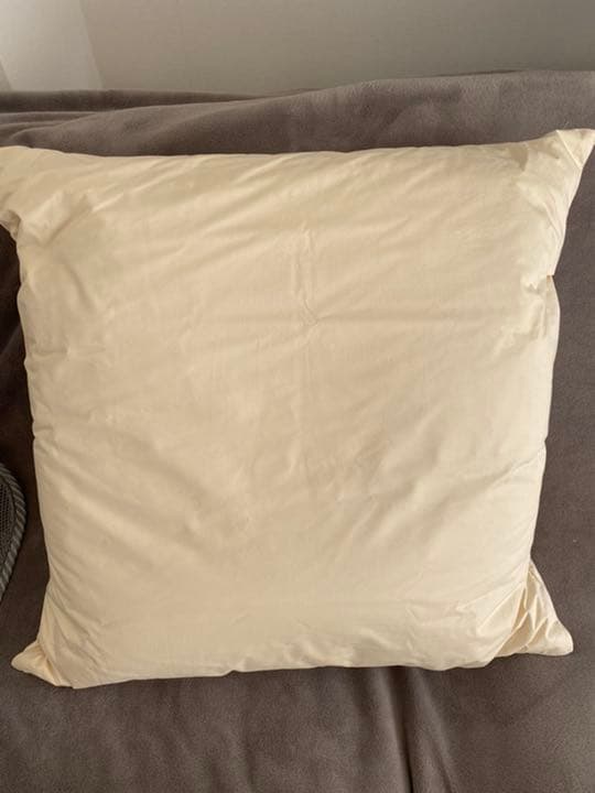 大判　ダウンピロー2個 + 専用ピロケース2枚　(768)