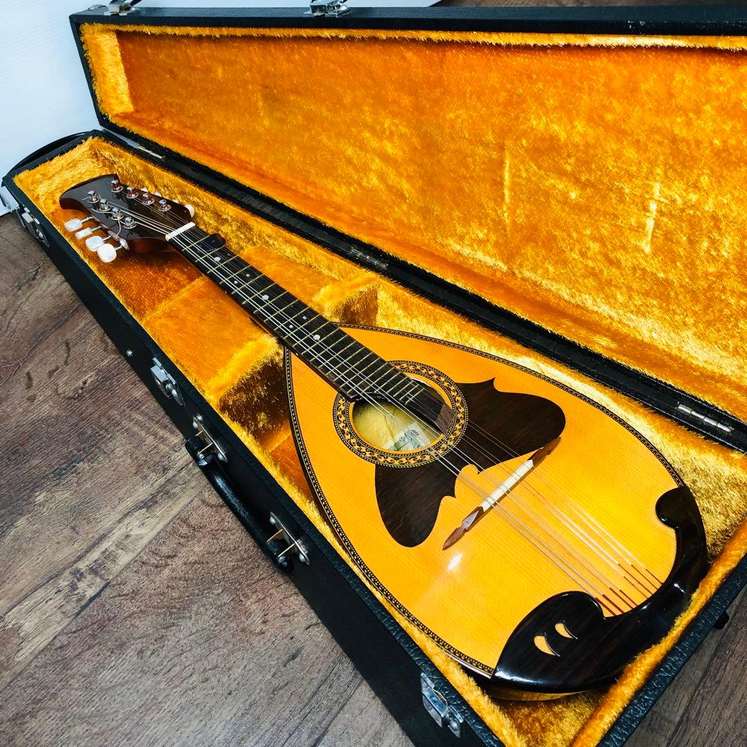 SUZUKI スズキ マンドリン M-218 ハードケース付