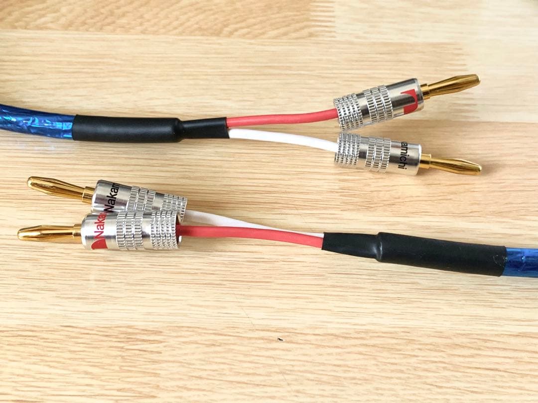 ヒロシ様 Zonotone 6NSP-2200Meister 1.9mペア