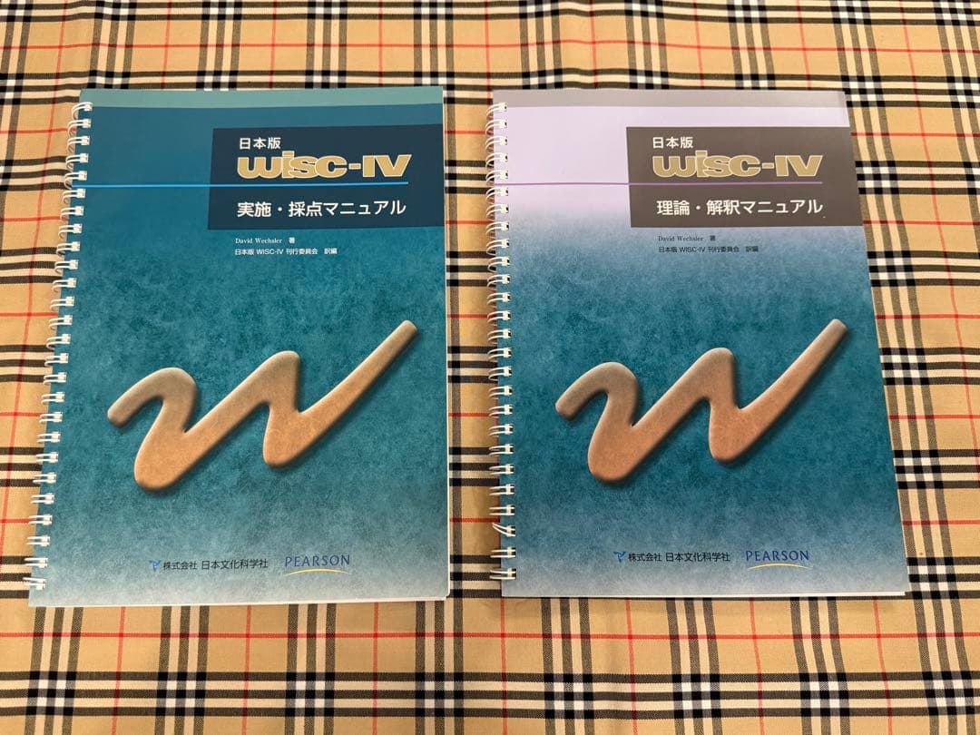 WISC-IV 理論・解釈・実施マニュアルセット