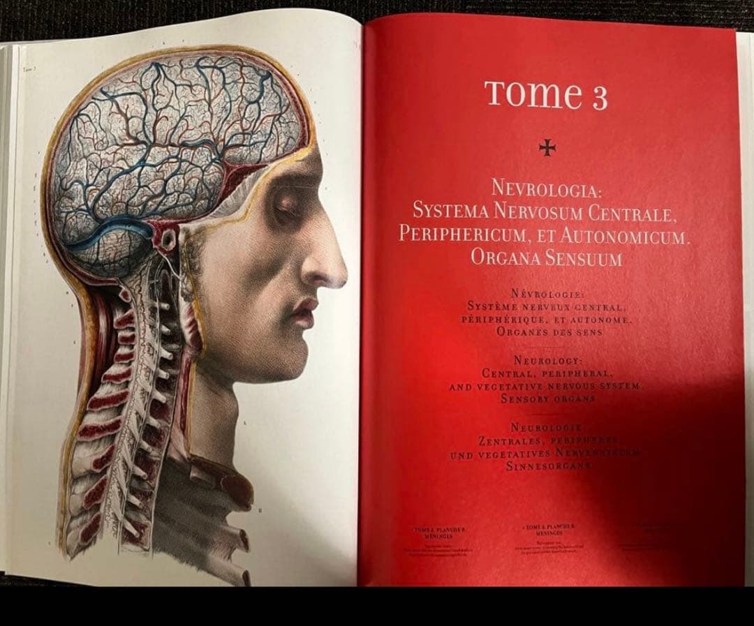 ATLAS OF HUMAN ANATOMY AND SURGERY 洋書　解剖