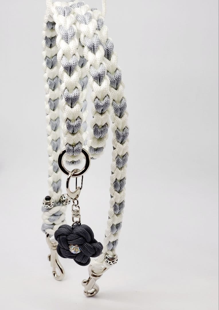 モダンクリアカフェリード