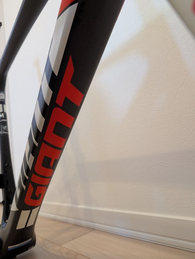GIANT TCR advanced PRO team Sunweb フレーム