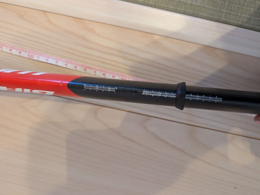 GIANT TCR advanced PRO team Sunweb フレーム