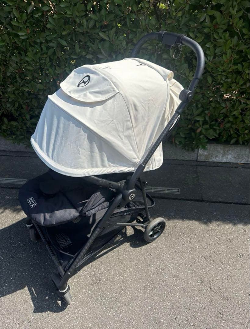 サイベックス　メリオカーボンコットンホワイト2022