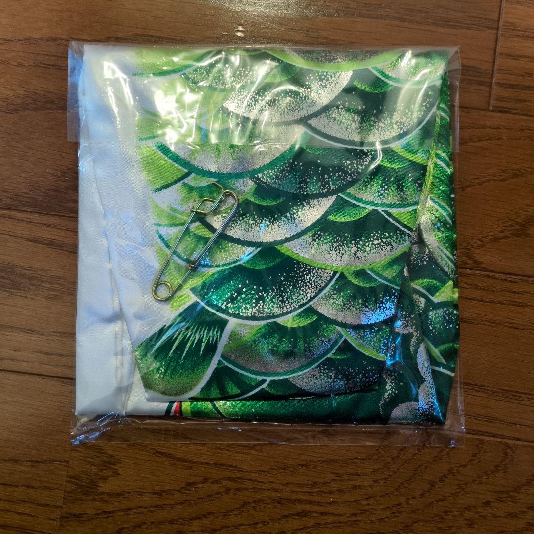 鯉のぼり　スタンドセット