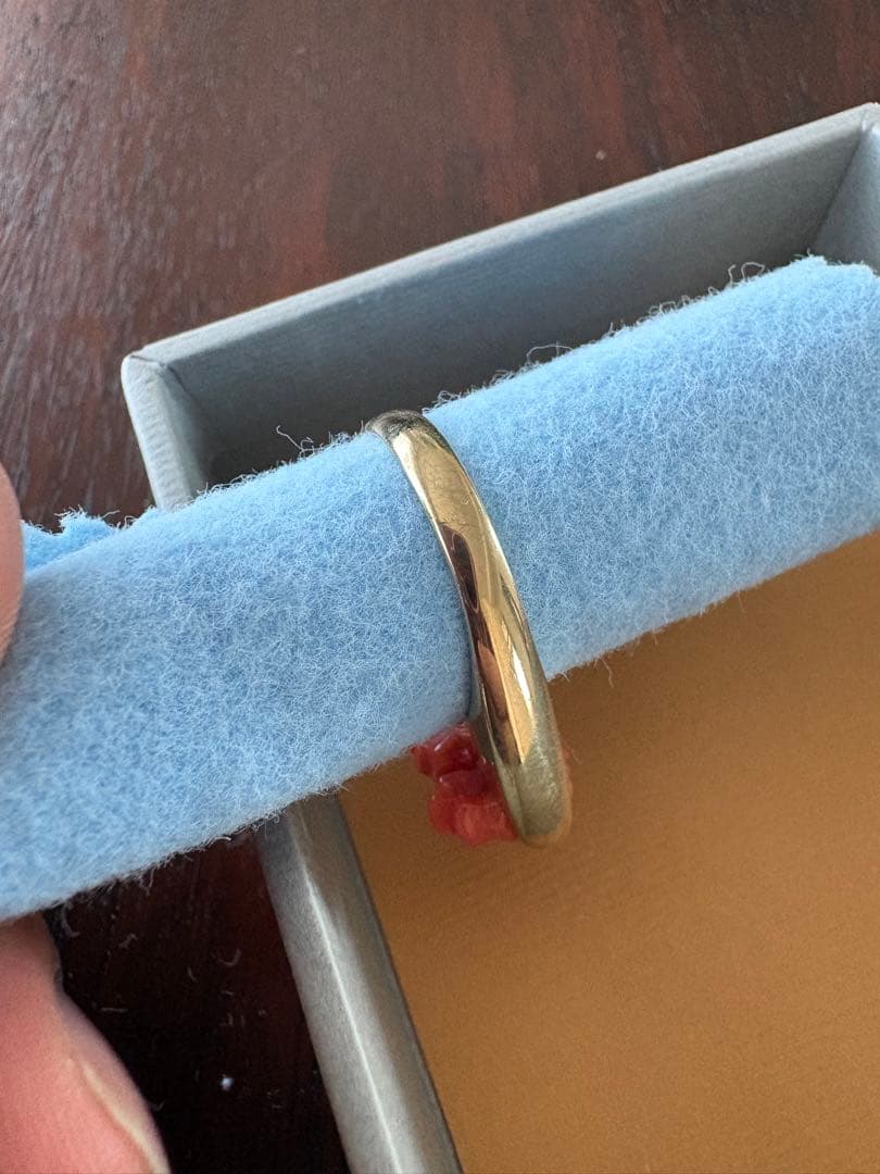 ALIITA タツノオトシゴ　コーラルリング15号