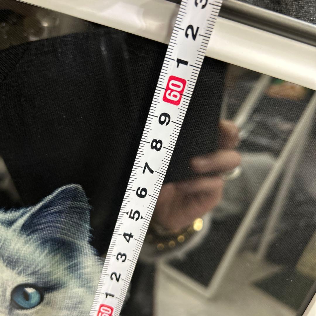 お部屋のインテリアに最適！フレーム付★インパクト大★暗闇で光る和彫猫★A2サイズ