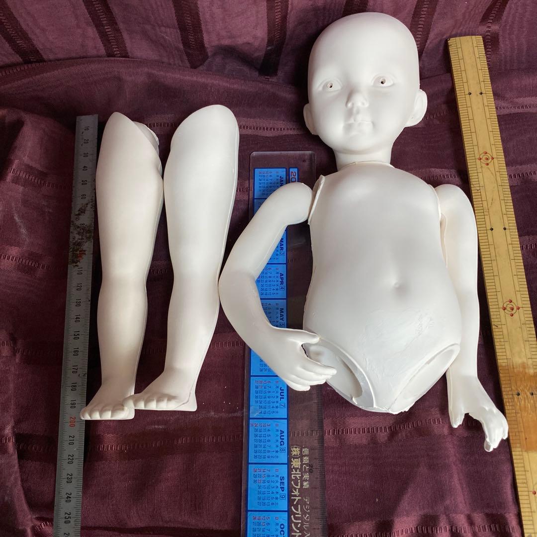 ソフトファイヤー済　ダイアナエフナー(大)モダンドール