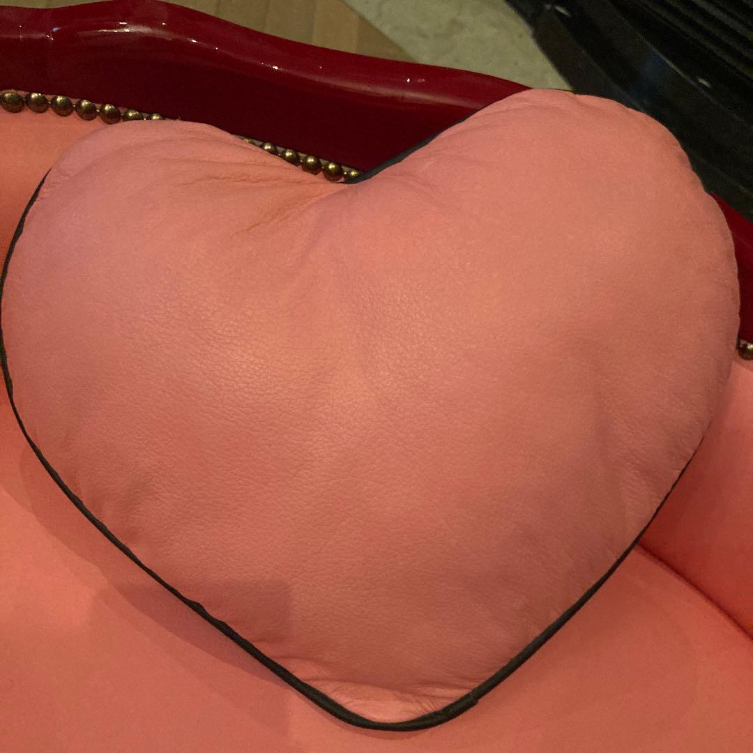 ピンクサロン小型犬