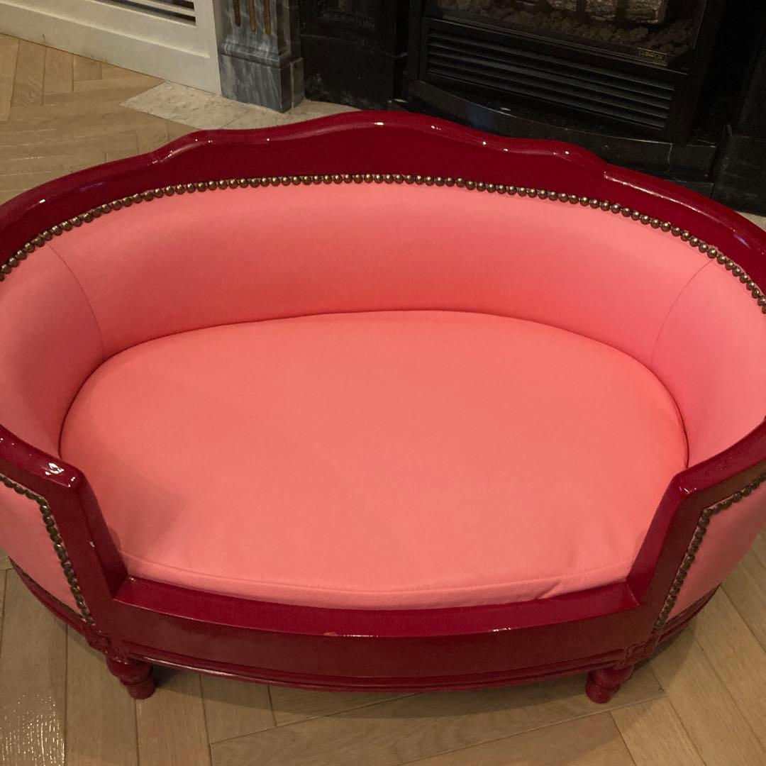 ピンクサロン小型犬