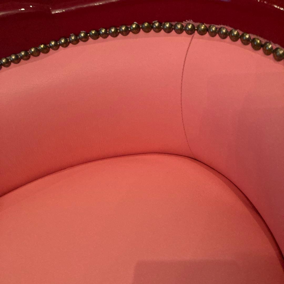 ピンクサロン小型犬