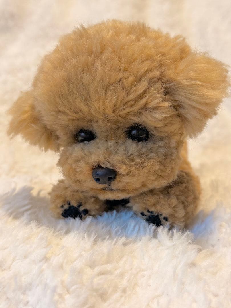 ★ハンドメイド★ トイプードル ぬいぐるみ