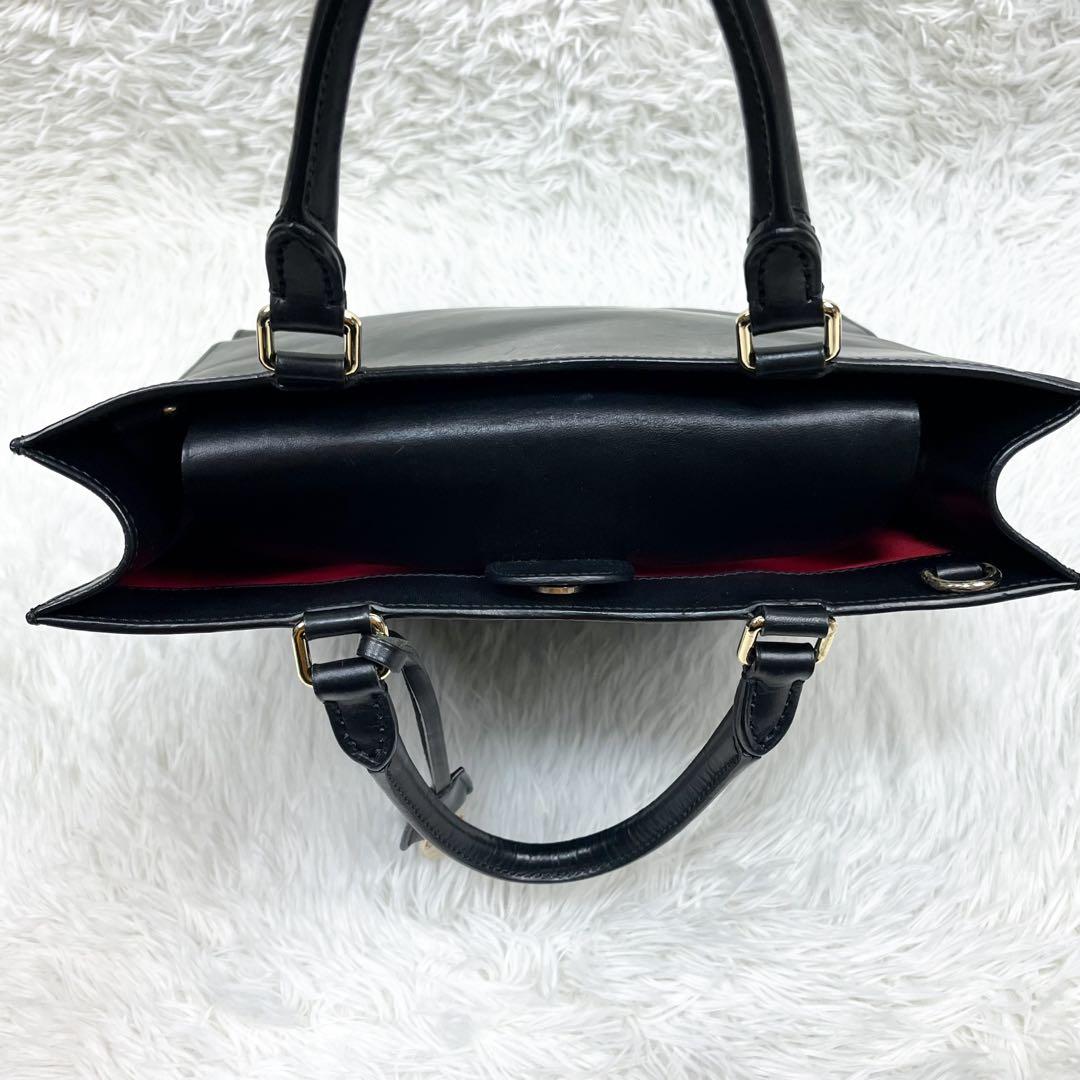 超希少 ボルドリーニセレリア スターレオーネ コラボ 2way トートバッグ