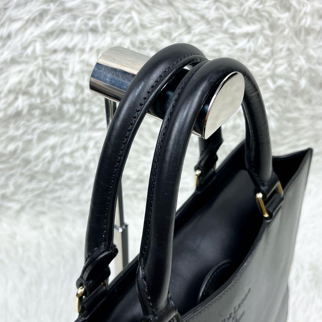 超希少 ボルドリーニセレリア スターレオーネ コラボ 2way トートバッグ